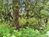 64000 Stevens Pass Highway - Photo 10