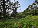4128 St Route 109 - Photo 7