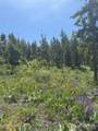 0 XX Melvin Road - Photo 3