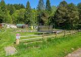 130 Pinto Lane - Photo 14