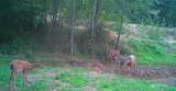 341 Parpala Road - Photo 27