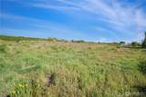 1146 Highway 7 - Photo 6