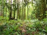 0 River Road - Photo 1