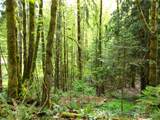 0 River Road - Photo 2