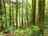 0 River Road - Photo 3