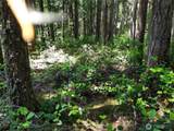 197 Cascade River Road - Photo 14