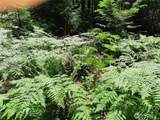 197 Cascade River Road - Photo 8