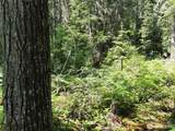 197 Cascade River Road - Photo 10
