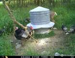 8708 Road K Road - Photo 27