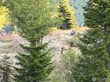 0 xxxx Spirit Lake Hwy - Photo 21