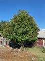 200 Arizona Avenue - Photo 8
