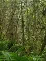 0 Glass Road - Photo 5