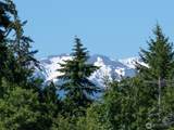 40 Cascadia Loop - Photo 38