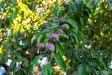 3110 49th Street - Photo 25