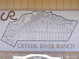16119 Crystal River Ranch Road - Photo 34