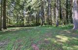 7303 269th Avenue - Photo 39