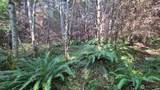 0 Lot 17 Grand Ridge Road - Photo 19