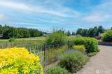 8419 Orcas Loop - Photo 6