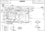 7204 78Th Avenue - Photo 3