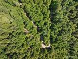 6133 Blue Mountain Lane - Photo 3