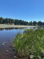 13705 Lake Kathleen Drive - Photo 1