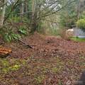 0 Old Military Road - Photo 2