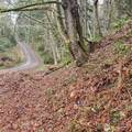 0 Old Military Road - Photo 4