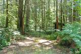13257 118th Avenue - Photo 1