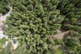 7 Howerton Road - Photo 11