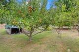 651 Olympic View Drive - Photo 38