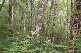 0 Off of Panhandle Road - Photo 5