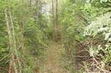 0 Off of Panhandle Road - Photo 6
