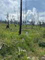 190 Bunch Road - Photo 12