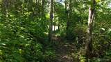 0 Woodland Drive - Photo 11