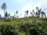 0 Lot 3 Rockabye Lane - Photo 4