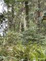 0 Lot 15 Shore Drive - Photo 7