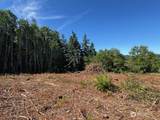 0 Lot 6 Nelson Road - Photo 2