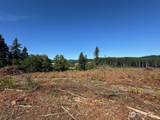 0 Lot 6 Nelson Road - Photo 15