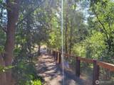 615 Pine Loop - Photo 32