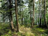0 Lot 7 Pass View Road - Photo 4