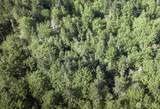 0 Lot 40 Township Line Road - Photo 27