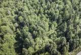 0 Lot 40 Township Line Road - Photo 34