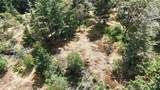0 Woodpecker Lane - Photo 6