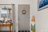 4 Christmas Tree Lane - Photo 6