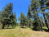 33 Domerie Park Loop - Photo 1