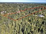 12 Acres Webb Hill Road - Photo 11