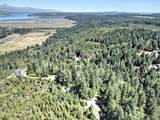 12 Acres Webb Hill Road - Photo 4
