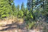 12 Acres Webb Hill Road - Photo 6