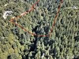 12 Acres Webb Hill Road - Photo 8