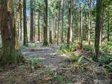 14925 Olympic View Loop Road - Photo 12